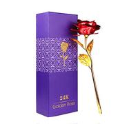 WeFoonLo Creative Artificial 24K Rose Flower Plastic Long Stem Real Rose Dipped in Gold with Gift Box for Mother's Day, Valentine, Birthday, Anniversary, Thanksgiving Day (Red+Gold)