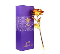 WeFoonLo Creative Artificial 24K Rose Flower Plastic Long Stem Real Rose Dipped in Gold with Gift Box for Mother's Day, Valentine, Birthday, Anniversary, Thanksgiving Day (Gold)