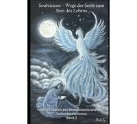 Wege der Seele zum Sinn des Lebens: Die 21 Stufen des Bewusstseins und der Seelenkarmatismus (Soulvisions)
