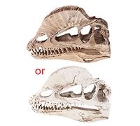 Wegiwuca Dilophosaurus Dinosaur Skull Resin For Skeleton Teaching Model Garden Ornaments Outdoor