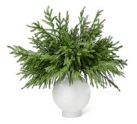 WeGuard 16 Pcs Real Touch Artificial Norfolk Pine Branches, 18 Inches Faux Norfolk Pine Stems Fake Christmas Greenery Picks for Vase DIY Garland Wreath Christmas Decorations Indoor Outdoor