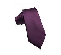 Wehug Men's Classic Paisley Tie Silk Woven Necktie Jacquard Neck Plum Ties For Men EU-LD0069