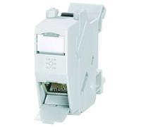 Weidmüller Rail-mount RJ45 Coupler IP20 Cat6 1pc