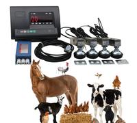 Weighing Scale - Livestock Load Cell Platform with Backlit LCD, Steel Sensor & 4-Wire Junction Box