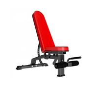 Weight Bench Foldable,Home Exercise Gym Equipment,Professional Bench Press Ab Board,Backrest Adjustable in 13 Positions(Red)