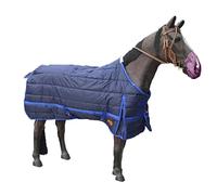 Weight Horse Turnout Rug, 600D, Ripstop Winter Foal and Horse Turnout Blanket 260g Medium Weight Adjustable Buttons Make Thicken Windproof Antifreeze the Horse Move Freely(135cm/53in)