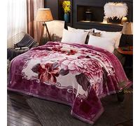 Weighted Blanket King Size 83"X93",12lbs~2 Ply Reversible Raschel Korean Blankets,Silky Soft Warm Heavy Plush Fleece Bed Blanket for Autumn Winter,G,210x235cm/5.5kg