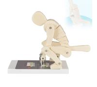 Weightlifting Demonstration Model - Pro Correct Lifting Tool with Base, Lumbar Spine Protection for Teaching Weightlifting Forces