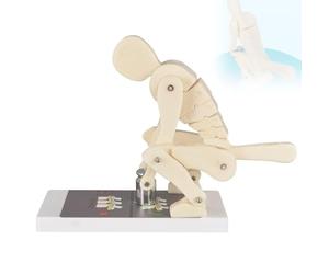 Weightlifting Demonstration Model - Pro Correct Lifting Tool with Base, Lumbar Spine Protection for Teaching Weightlifting Forces