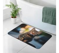 WEIHAKO Bath Mat for Bathroom Quick Dry Super Absorbent Bath Rug Diatomaceous Earth Bath Mat Brown tabby kitten Bathroom Rugs Non-Slip Doormat Area Rugs for Bedroom Floor Bathtub Shower Rug
