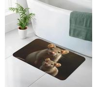 WEIHAKO Bath Mat for Bathroom Quick Dry Super Absorbent Bath Rug Diatomaceous Earth Bath Mat Mother and rats Bathroom Rugs Non-Slip Doormat Area Rugs for Bedroom Floor Bathtub Shower Rug