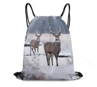 WEIHAKO Drawstring Backpack Sports Gym Bags Deer on Frozen Wilderness Drawstring Bags for Men Women Beach Bag String Bag