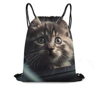 WEIHAKO Drawstring Backpack Sports Gym Bags Frightened Kitten in Car Drawstring Bags for Men Women Beach Bag String Bag