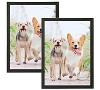 Weikani A3 Wood Picture Frame,29.7x42 cm, Pack of 2 Black photo Plexi Glass, Certificate Frame for Wall Mounting or Table Top Display, Set of 2