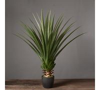 Weilai Concept Decoration: Artificial Plant - 1