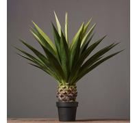 Weilai Concept Decoration: Artificial Plant - 2