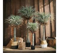 Weilai Concept RG93 Artificial Plant - 140cm