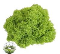 Weilin Artificial Moss 60g, Fake Moss Bulk for Crafts and Wreath Making, Decorative Moss for Indoor Plant Pots and Displays