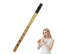 Weilin Tin Whistle, Irish Tin Penny Whistle D, Six-Hole Penny Slide Whistles for Beginners Intermediate and Expert Band Performances(Gold)