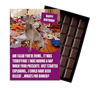 Weimarana Birthday Boxed Chocolate Gift Silly Present Card for Dog Lovers Funny 100 Gram Belgian Milk Chocolate Greeting Bar Not a Dog Treat Human Consumption Only