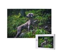 Weimaraner Dogs Pets Gray Dogs Dogs,1000 Pieces Wooden Jigsaw Family Game Jigsaw Puzzles for Adults Teens Home Decor