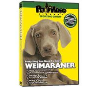 WEIMARANER DVD: + Dog & Puppy Training Bonus