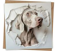 Weimaraner Greeting Card - Funny Dog Face Greeting birthday Card