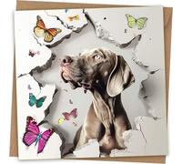 Weimaraner Greeting Card - Funny Dog Face Greeting birthday Card with Kraft Envelope