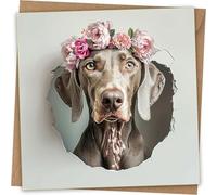 Weimaraner Greeting Card - Funny Dog Head Through Wall Greeting Birthday Card with Kraft Envelope