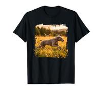 Weimaraner Running Meadow Sunset Field Scene T-Shirt