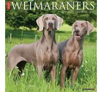 Weimaraners 2025 Wall
