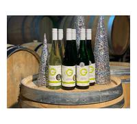 Weingut Gindorf Mixed Case | 12 Bottles of Gold and Silver Award-Winning Riesling and Pinot Blanc Wines, 75 ach, GermanyBy Winebuyers