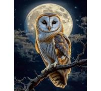 Weiniuniu 5D Diamond Art Painting Kits Moon owl DIY Full Drill Diamond Arts and Crafts Painting Pictures for Kid and Adults Canvas Painting by Numbers 40x50 cm