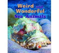 Weird and Wonderful Sea Animals