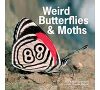 Weird Butterflies & Moths