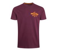 Weird Fish Mens Mountain Valley Graphic T-Shirt Purple S