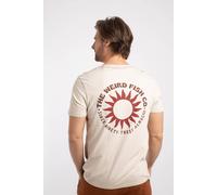 Weird Fish Men's Sun Beam Graphic T-Shirt in Cream | Size: Medium Weird Fish Cream M