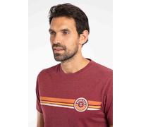 Weird Fish Wave Stripe Graphic T-Shirt Garnet Size 4XL