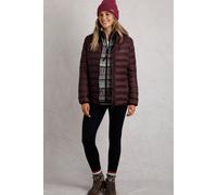 Weird Fish Women's Eshka Lightweight Padded Jacket in Wine | Size: 14 Weird Fish Wine 14