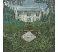 Weirs - Diamond Grove [VINYL]