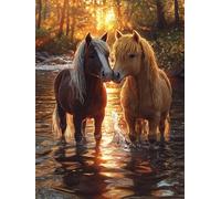WEISHIWE Horse by Stream Paint by Numbers for Adults 28x36 Inch v-1000