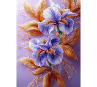 WEISHIWE Paint by Numbers for Adults Dreamy Iris 32x40 Inch z-672