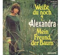 Weißt du noch / Mein Freund,der Baum (7" Vinyl Single 1968)( Philips 388 402)