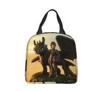 WEIXNCXCJ How to Train Your Dragons Movie Insulated Lunch Bag Thermal Bag Reusable Portable Tote Lunch Box Food Storage Bags School