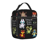 WEIXNCXCJ How to Train Your Dragons Movie Thermal Insulated Lunch Bag for Picnic Portable Food Bag Cooler Thermal Lunch Boxes