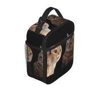 WEIXNCXCJ Lunch Bags Cooler Bag Reusable Sad Cat Mewing Large Tote Lunch Box Food Storage Bags Work Travel