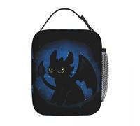 WEIXNCXCJ Lunch Boxes Toothless Night Fury Cute Dragon Accessories 2025 Movie Storage Food Box New Cooler Thermal Bento Box for Travel