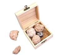 WEKADRIN 1 Box Gem Dig Kit for Adults Rock Collection Geology Kit with Real Gemstones Easy Hammer Excavation Educational and Fun Birthday Gift