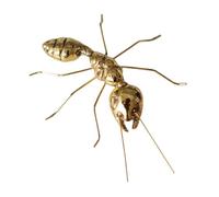 WEKADRIN Alloy Ant Sculpture Metal Figurine Desktop Ornament Creative Home Office Decor Small Decorative Art for Party Kitchen Dining Table