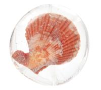 WEKADRIN Amino Acid Soap Moisturizing Amino Acid Soap Design Glycerin Gentle Cleansing Delicate Ocean Style Decor Face and Skin Care